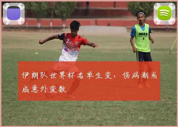 伊朗队世界杯名单生变，伤病潮或成意外变数
